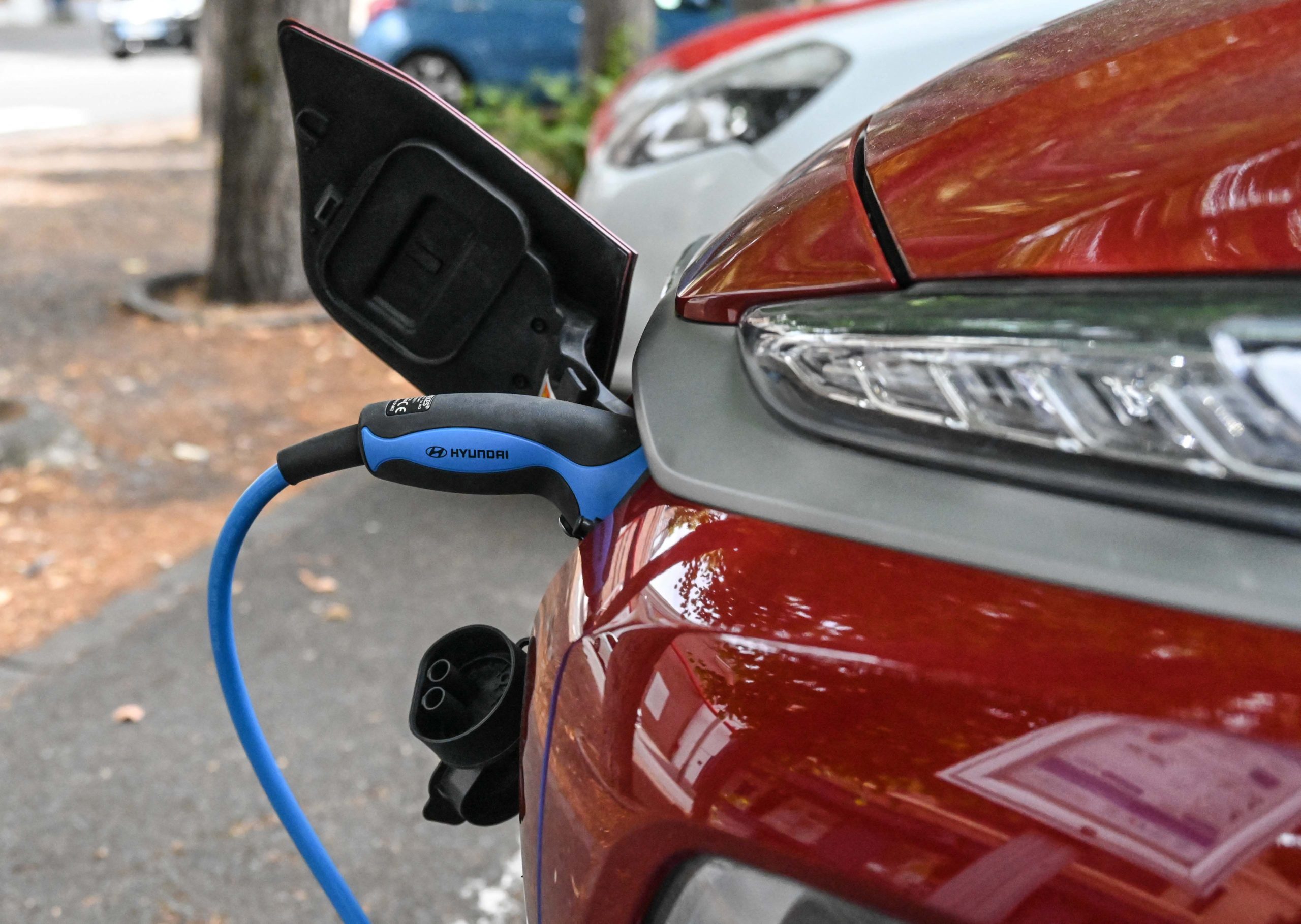 Driver of Electric Vehicle Comes up With Solution to Drive 1,800 Miles Without Charging