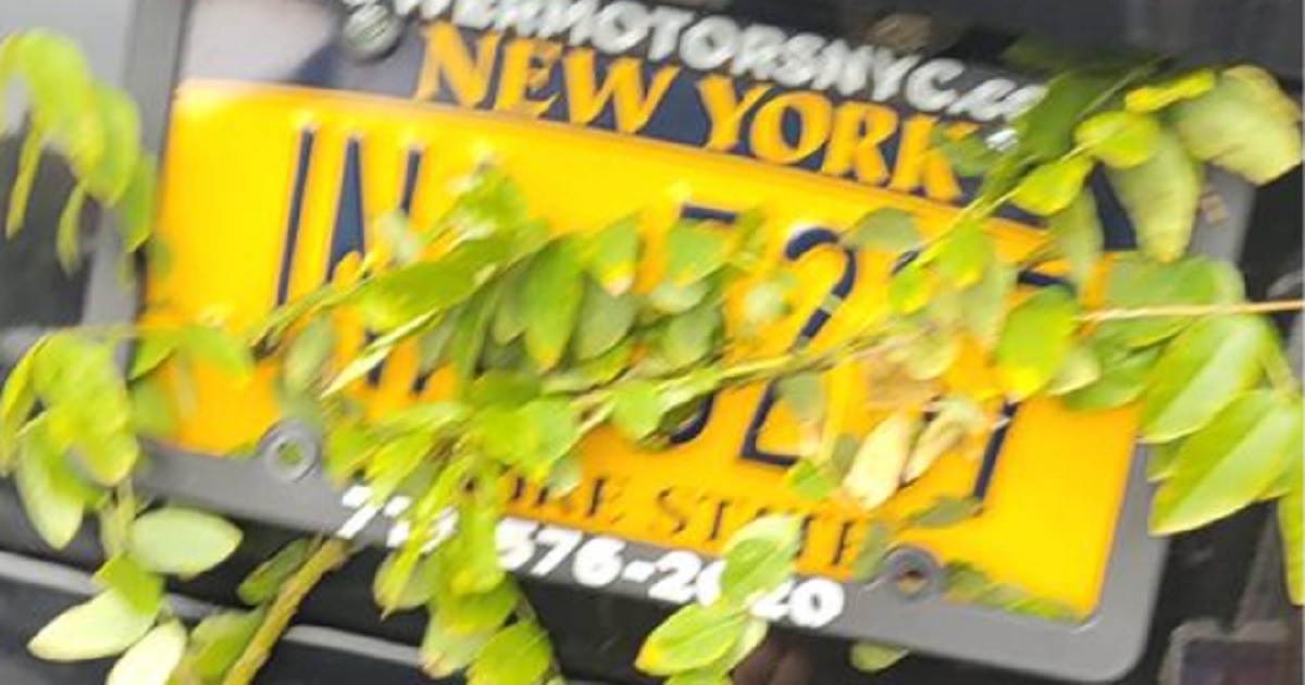 New Yorkers Use Fall Foliage to Their Advantage, Avoid Tolls by Using Leaves