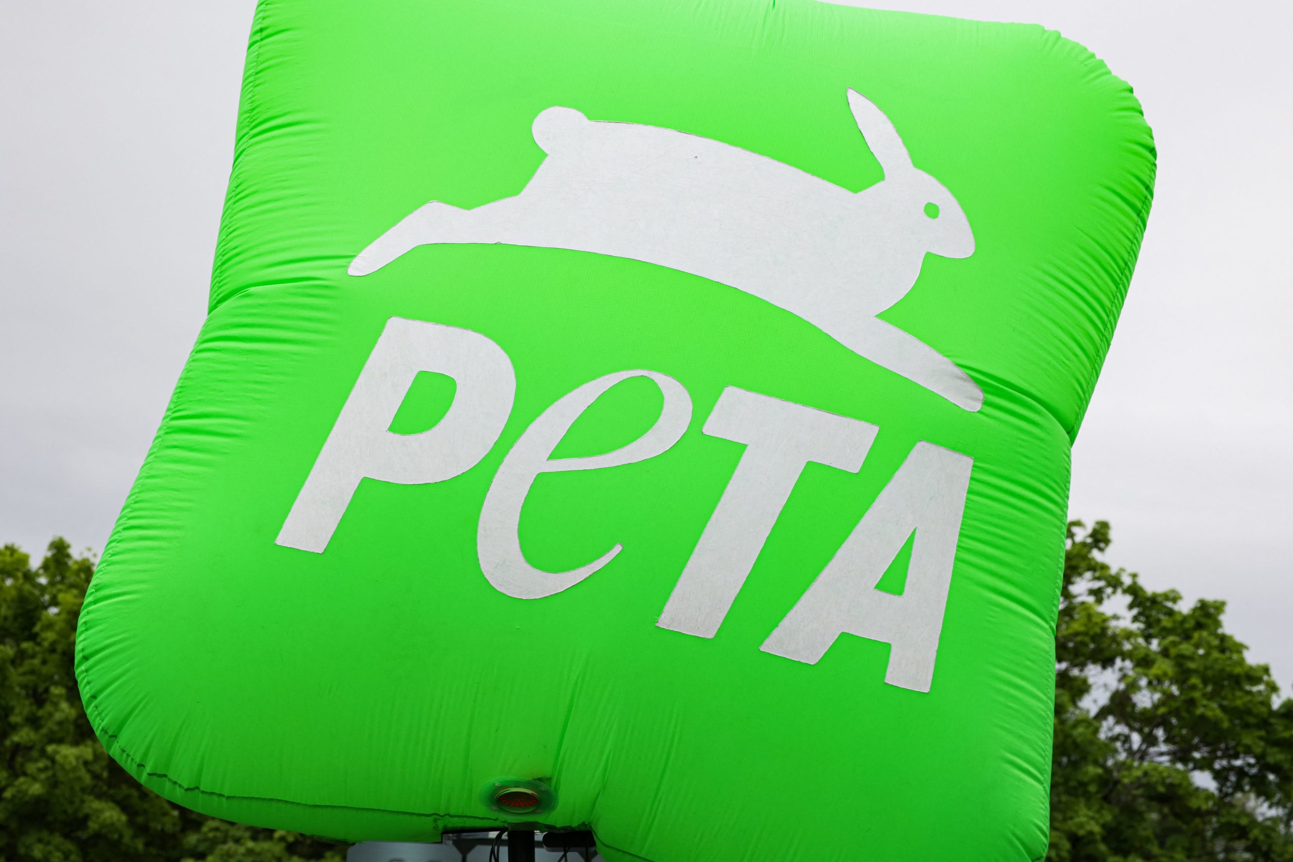PETA Goes After ‘Avatar’ Director for Making Comment About Dolphins While Promoting Movie
