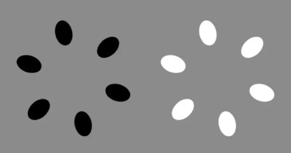 A screen shot of an optical illusion.