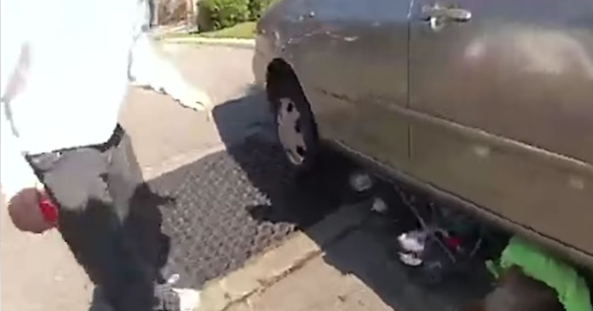 On Sunday, a great-grandmother and her 3-year-old granddaughter were trapped under a vehicle after the driver backed up over them in Tampa, Florida. A police officer, firefighters and good Samaritans worked to free the trapped pair.