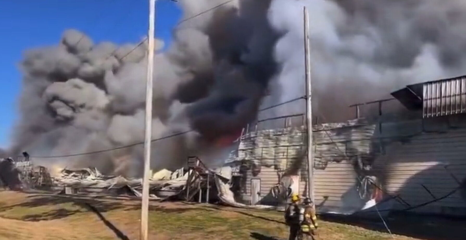 Chickens Killed During Fire at Large Egg Farm: Officials