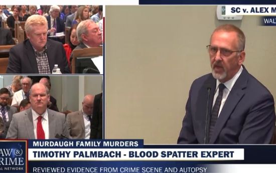 Blood Spatter Expert Shakes Up Murdaugh’s Double Murder Trial with New ‘Two-Shooter Scenario’