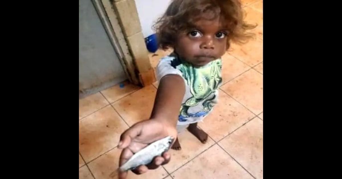 Fish fell from the sky in the Australian town of Lajamanu on Sunday.
