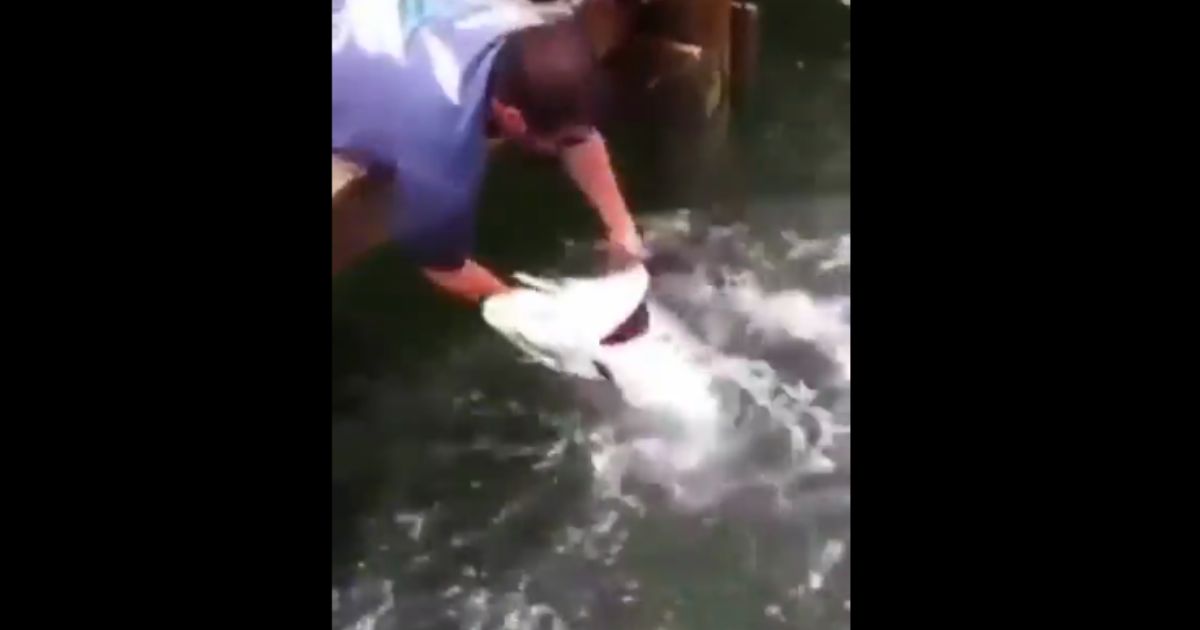 This adventurous fisherman might have bitten off more than he could chew -- or did the fish?