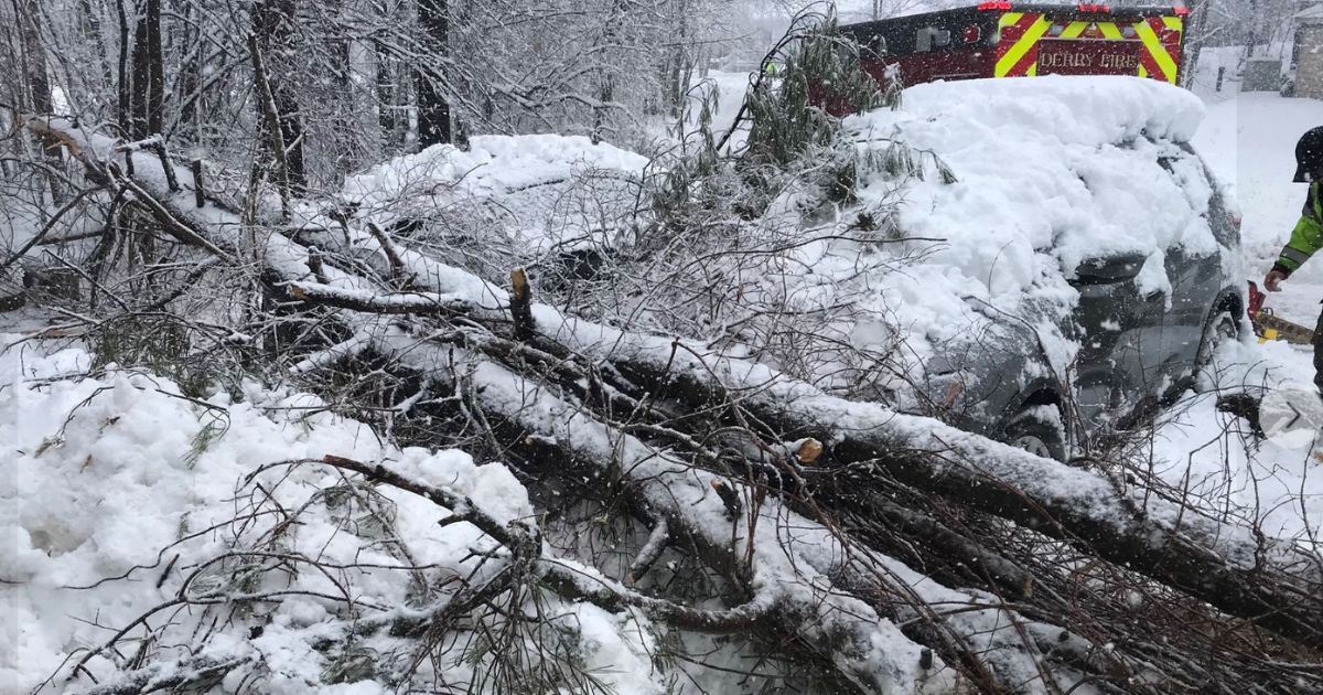 On Tuesday a 6-year-old in Derry, New Hampshire, was rescued by a team of firefighters and police after a tree fell on top of them.