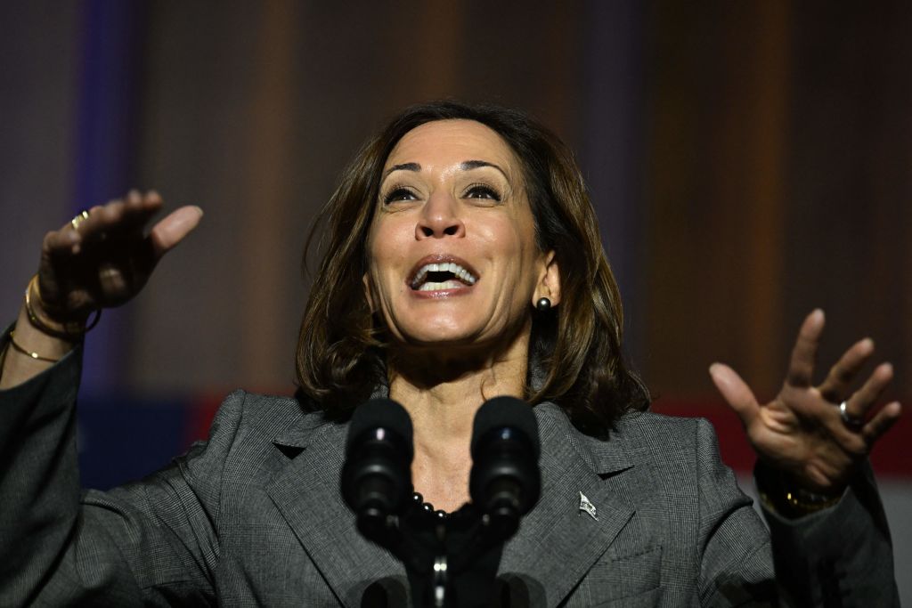 Kamala Harris Confirms Biden Admin Is as Incompetent as We Think with Humiliating Fireplace Story