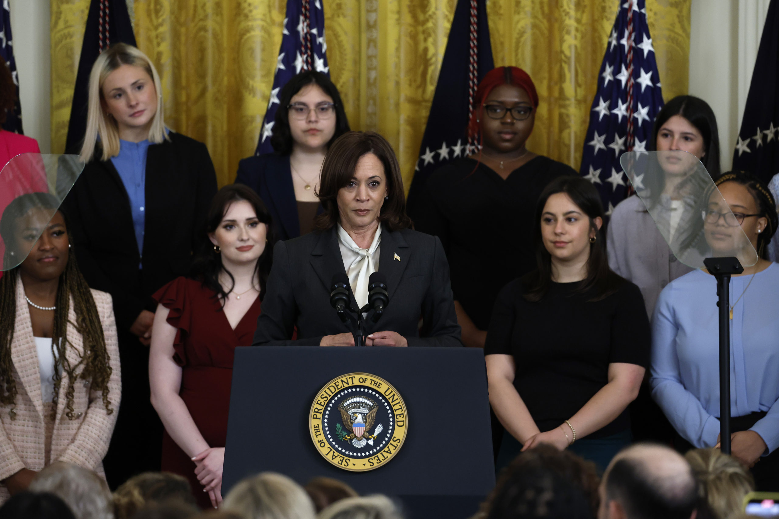Resolution Introduced to Remove Kamala Harris From Border Position