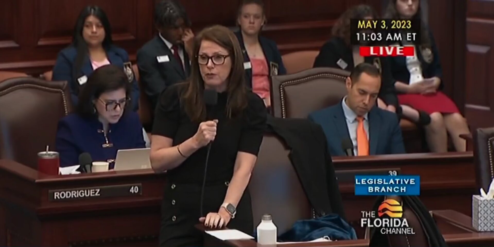 State Lawmaker Claims Parents Are Not ‘Qualified’ to Decide What Books ‘Belong’ in School Libraries