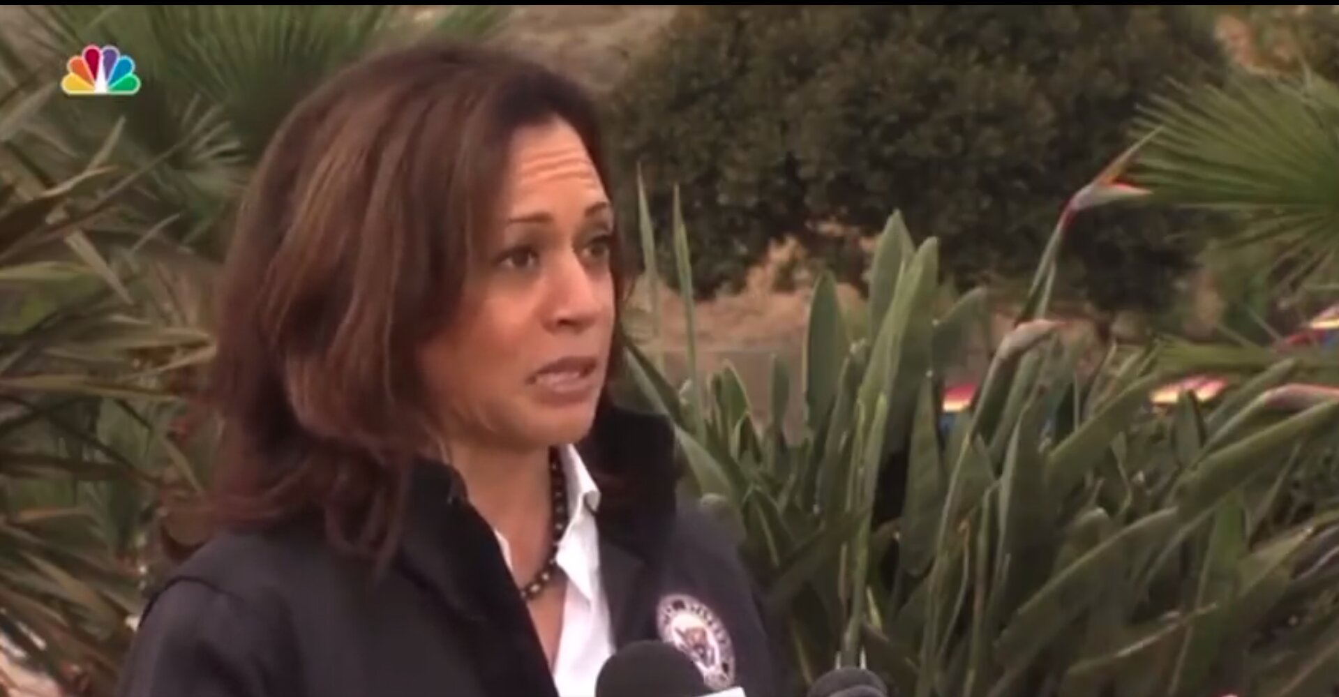 Flashback: Harris Denounced Trump Border Move — Now Biden Is Taking a Similar Action