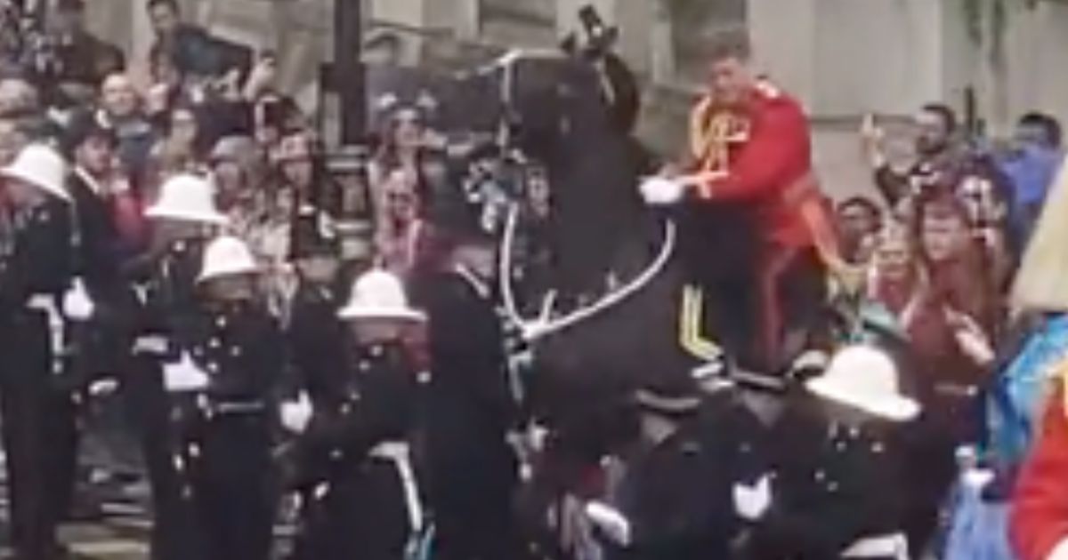 A horse walks backward before striking barriers that kept the crowds from the King Charles coronation procession on Saturday in London.