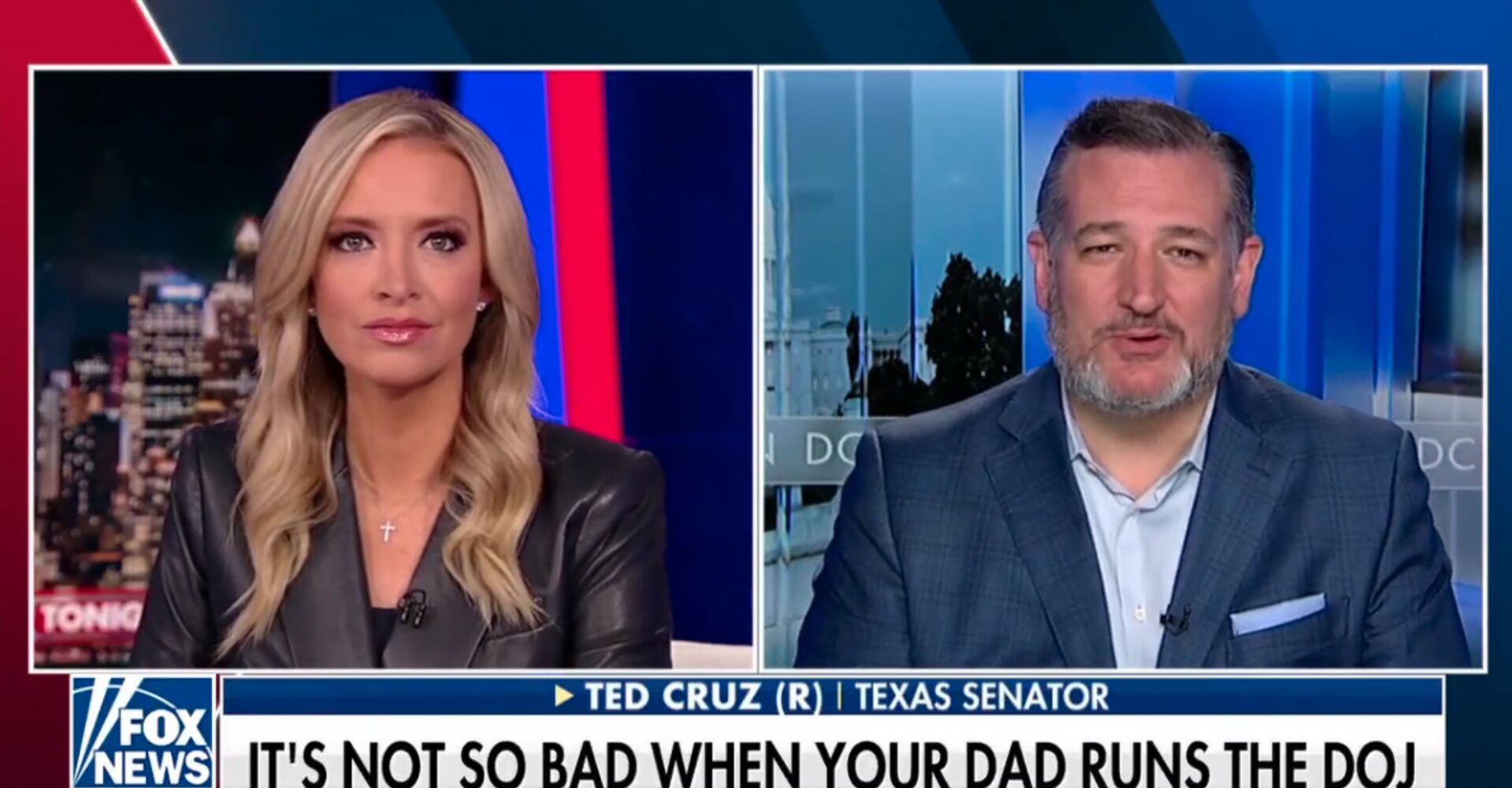 Cruz Has 3 Words to Describe Hunter Biden’s Plea Deal