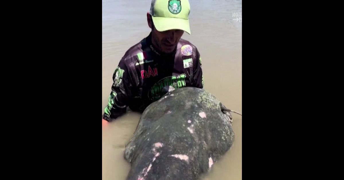 Italian fisherman Alessandro Biancardi reportedly caught a world-recording setting catfish in Italy last month.