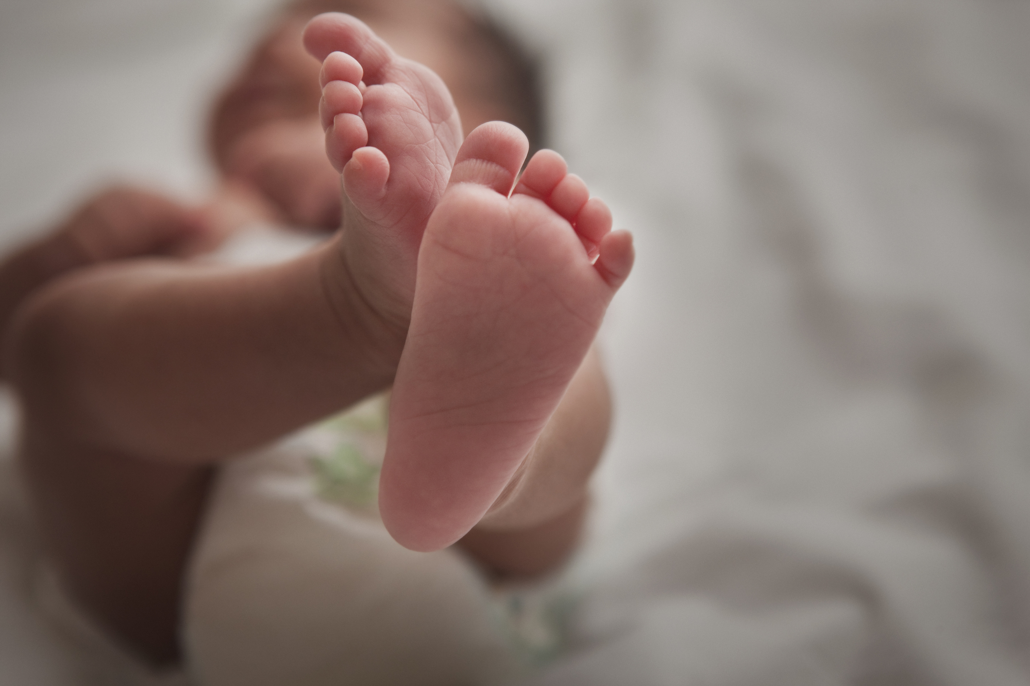 Stray Dog Saves Baby Who Was Dumped in a Garbage Bag: Report