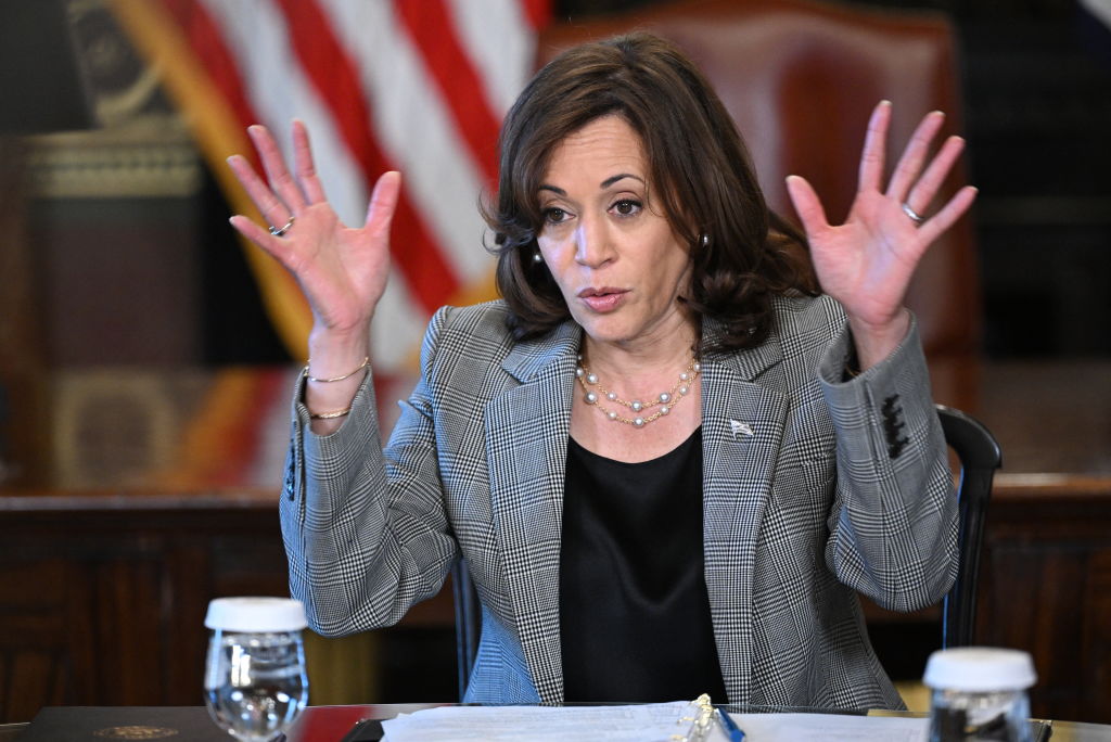Kamala Harris’ Issue with Flights in America Gets Her Brutally Mocked: ‘What Are You Talking About?’