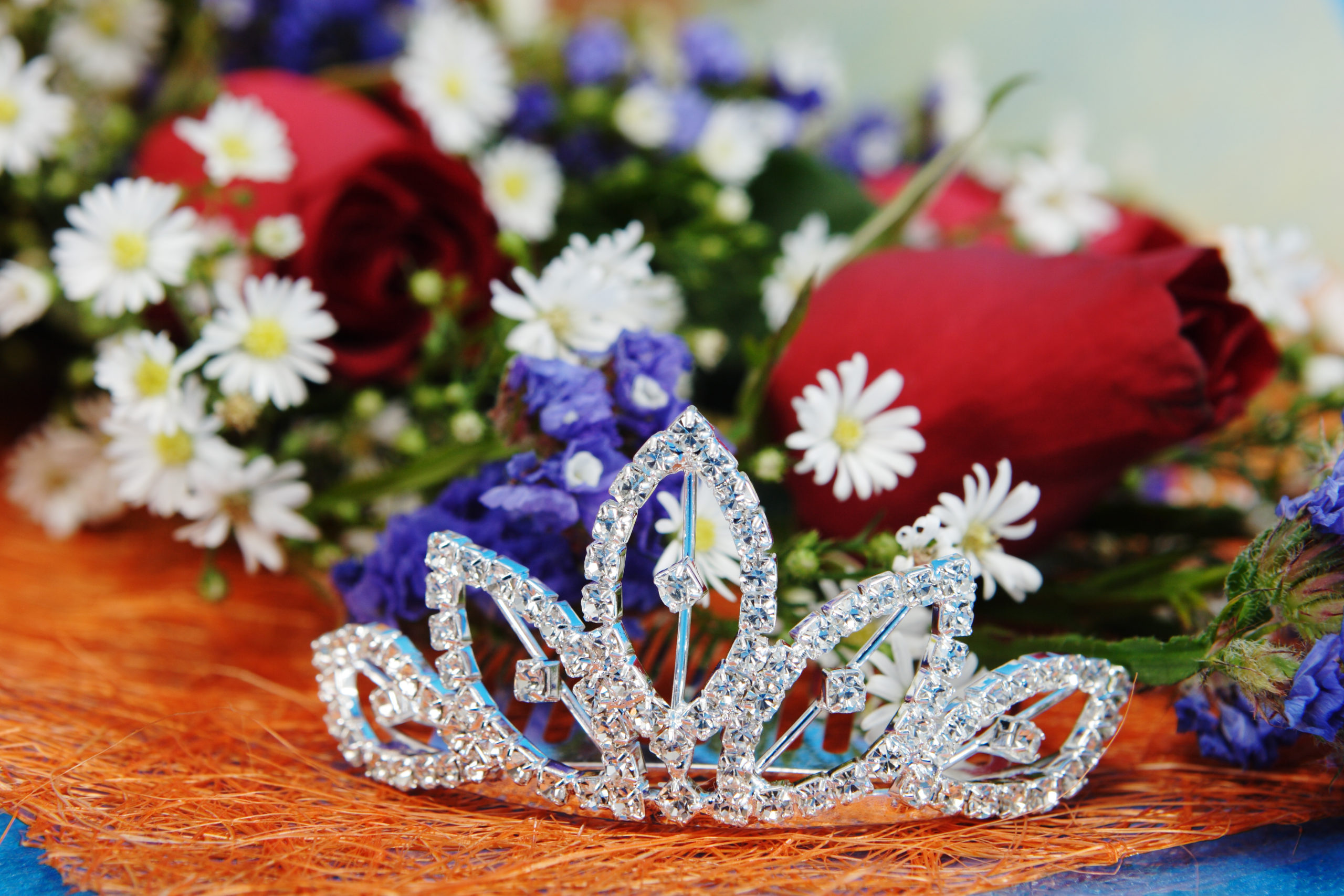 Biological Man Wins Miss Netherlands — Sparks Outrage