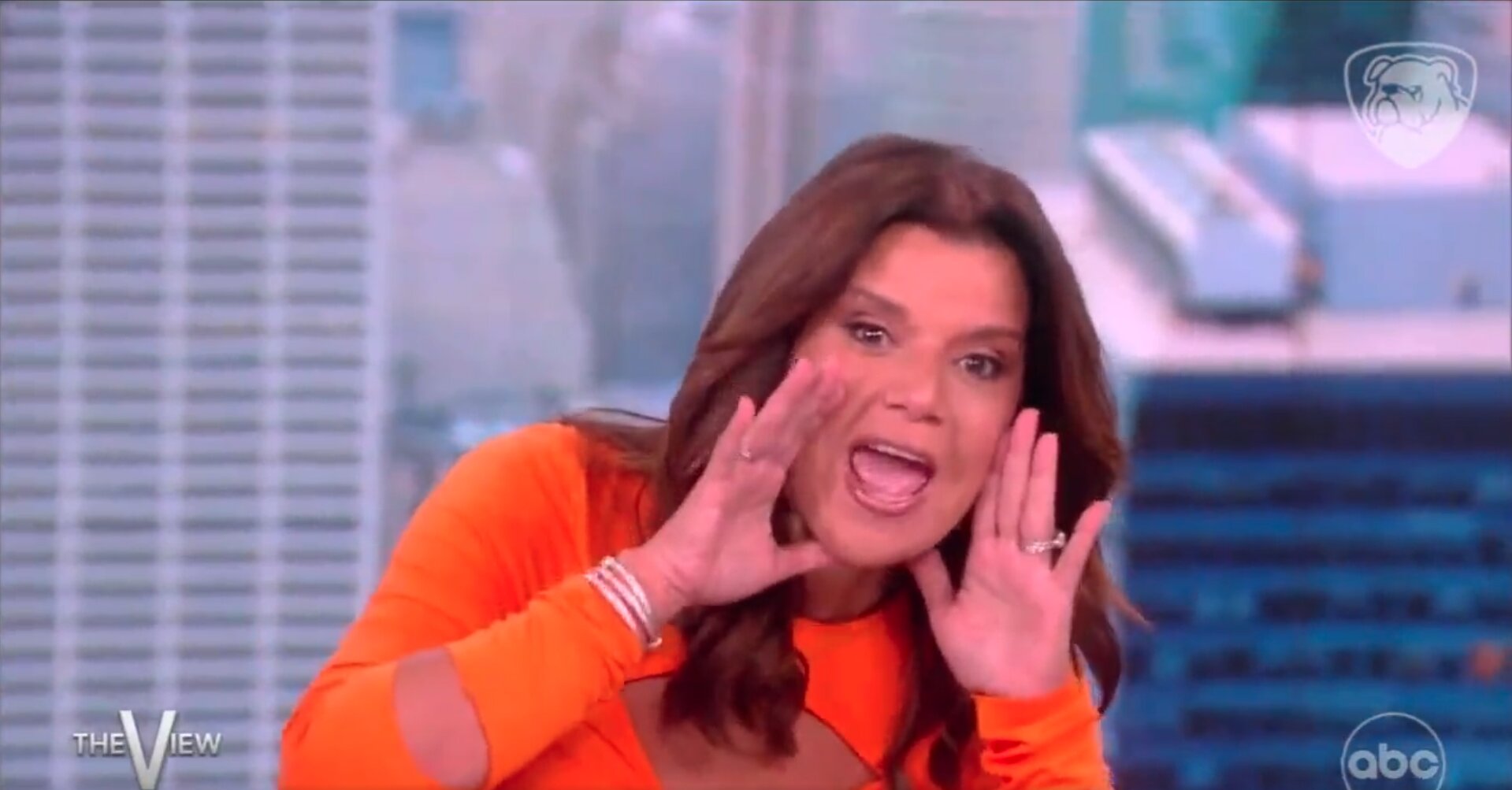 ‘The View’ Co-Host States She Acts ‘Like a Dog’ When She Is Near DeSantis Supporters