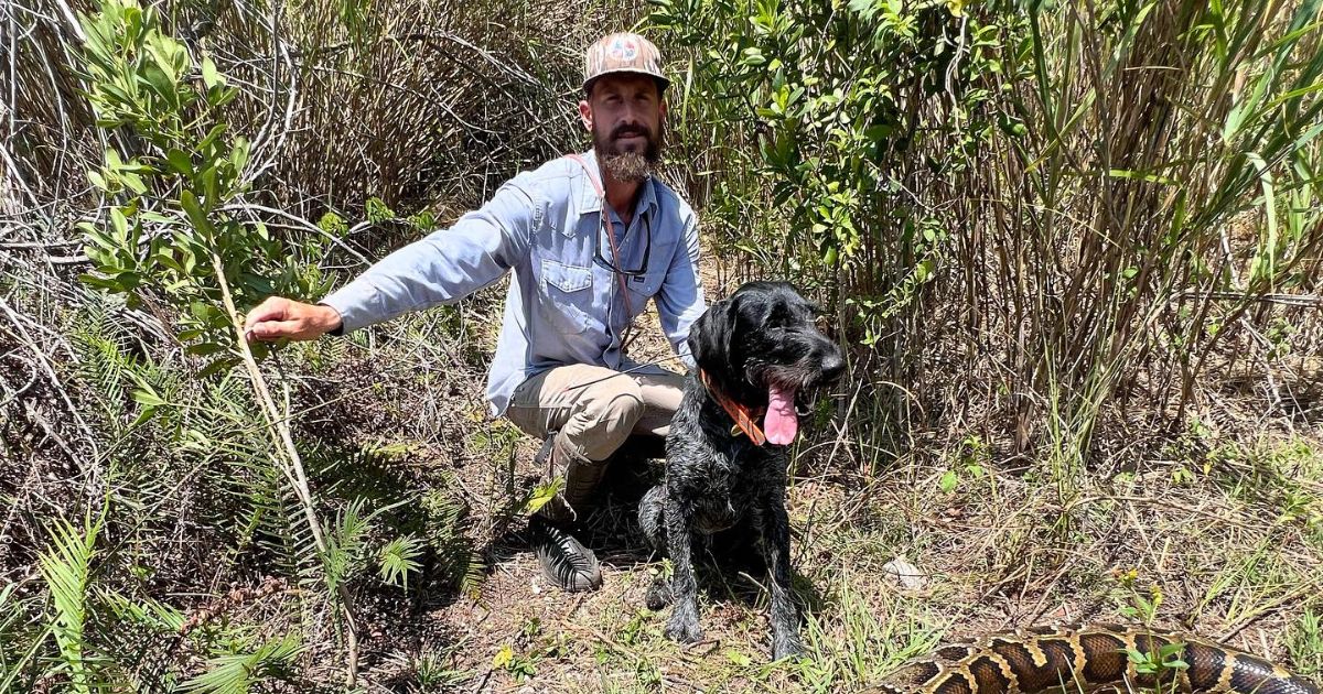 Mike Kimmel killed a Burmese python in Florida.