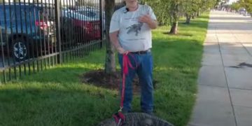 Man Is Denied Entry at Sports Game Over Emotional Support Alligator