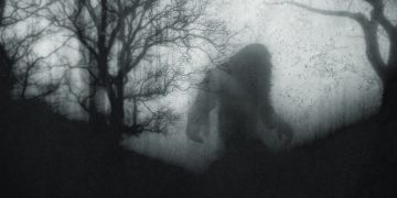 ‘It’s Bigfoot’: Couple Captures Video and Pictures of ‘The Ever Elusive Creature’