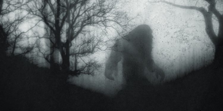 ‘It’s Bigfoot’: Couple Captures Video and Pictures of ‘The Ever Elusive Creature’