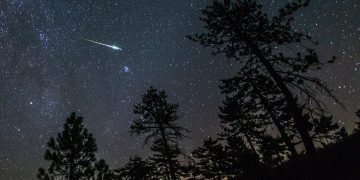 November’s Upcoming Meteor Shower, Star Cluster, and Moon Phases Are Sure to Brighten the Skies