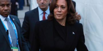Harris Mocked After Posting Pic of ‘Nonpartisan’ Poll Worker Who Is Actually a Lawyer for a Left-Wing Group
