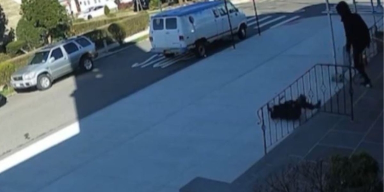 A 68-year-old woman suffered a fractured skull as she was mugged on the steps of her Queens church on Sunday morning. Police are searching for the suspect.