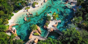 a pool at Discovery Cove