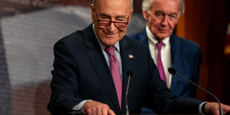 Schumer Deletes Father’s Day Pic of Him Grilling After Users Notice Something Odd About It