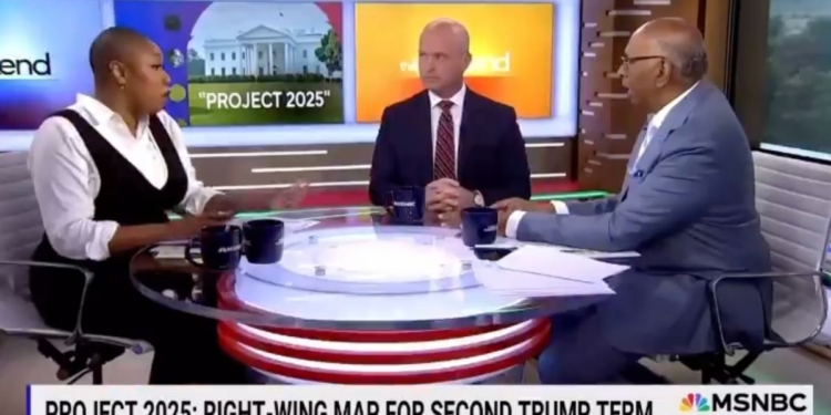 MSNBC Co-Host Chides Colleague for Using the Term ‘Illegal Immigrant’ While Discussing Migrant Crime