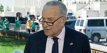 CARRIE SHEFFIELD: Chuck Schumer Deploys Another Political Smokescreen