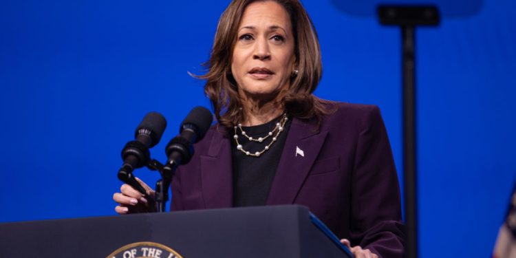 Harris Speaks Out About Flag Burning in DC by Anti-Israel Protesters