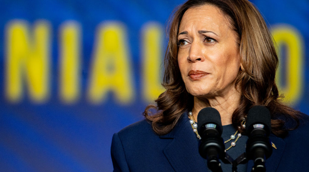 Harris Campaign’s Insult of 4-Year-Old Trump Prediction Comes Back to Haunt Her