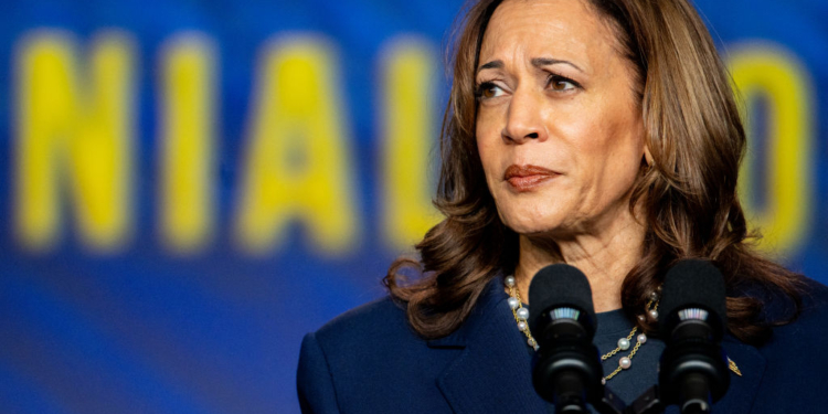 Harris Campaign’s Insult of 4-Year-Old Trump Prediction Comes Back to Haunt Her