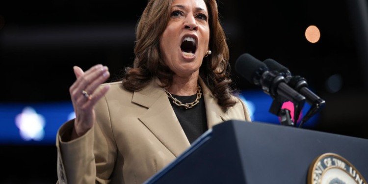 Harris Plans to Distance Herself From Biden’s Economic Policies: Report