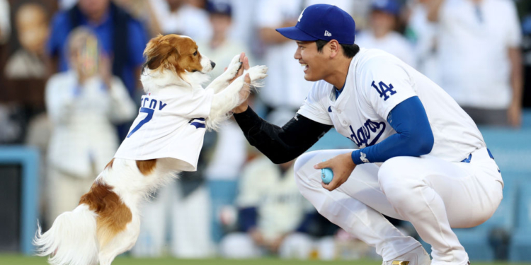 Baseball’s Gone to the Dogs as ‘Decoy’ Delivers First Pitch