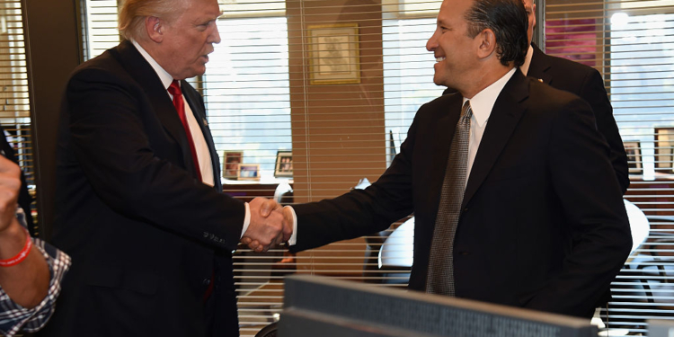 Two Trump Sons, Two Donors Named to Transition Team