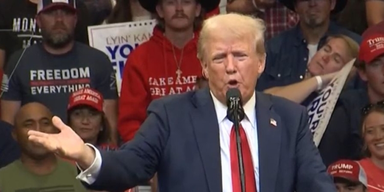 CARLY ATCHISON BIRD: Trump Needs A New Playbook … Fast