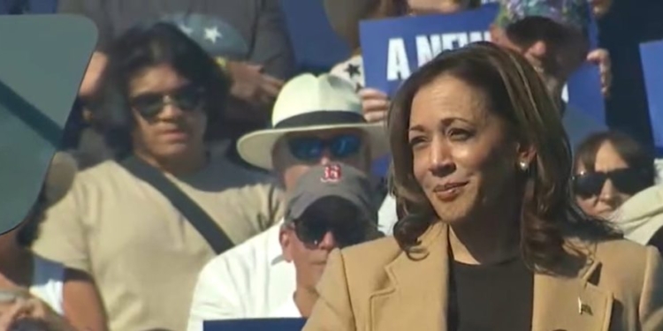 RICK MANNING: The IRS Must Be Awfully Excited About A Potential Kamala Harris Presidency