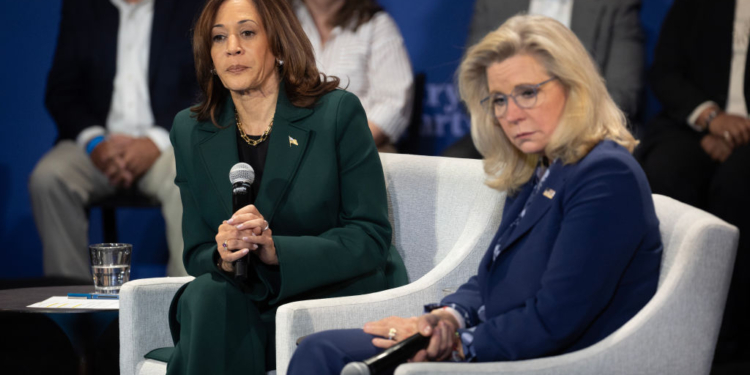 Liz Cheney Calls for ‘Guardrails of Democracy’ to Step Up After Trump Win