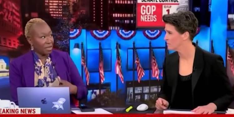 Joy Reid Calls Florida a ‘Fascist-Type Government’ After Amendment Fails