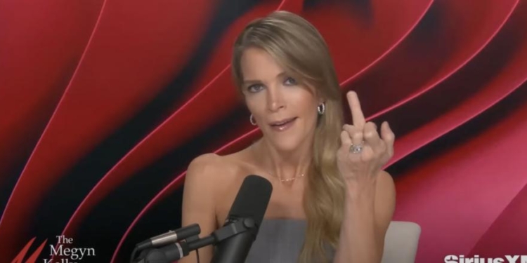 ‘You Should Take It And Stuff It’: Megyn Kelly Names Major Celebs Among Biggest ‘Losers’ Of 2024 Election