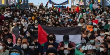 ‘Traded Ideas For Ideology’: Nearly 75% Of College Faculty Believe Academic Freedom Is In Danger