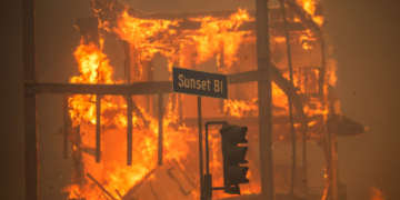 State Farm Cancelled Homeowners’ Policies In California Months Before Wildfires: Report