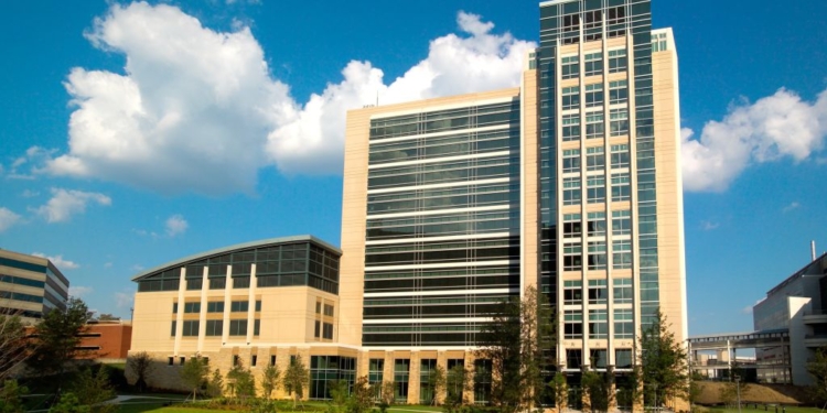 CDC Staff Ordered to Cut Communications With WHO