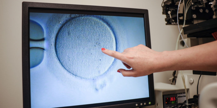 Some Pro-Life Advocates Speak Out Against Trump’s Move on IVF