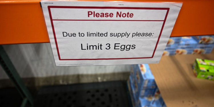 Bird Flu Could Be ‘Worst Outbreak Ever’ As Egg Prices Hit Record Highs