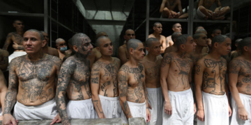 Top MS-13 Leader Arrested