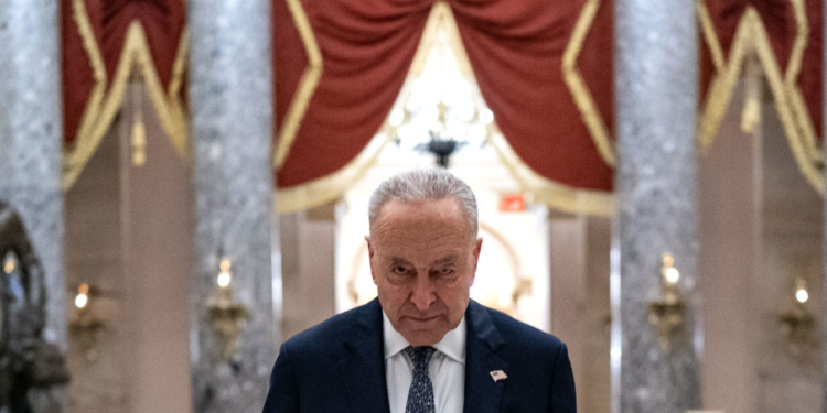 Schumer Says Dems ‘Have a Real Direction Now’ — Despite Poor Polling